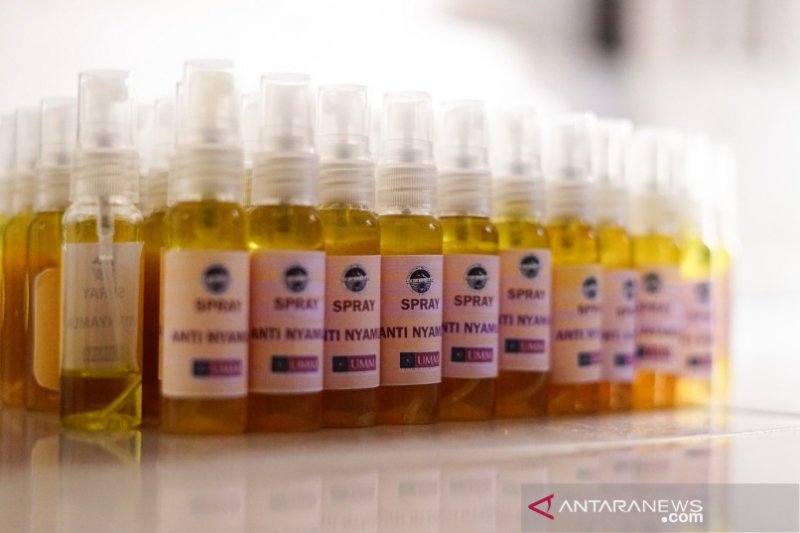 Mahasiswa UMM buat spray antinyamuk alami cegah DB