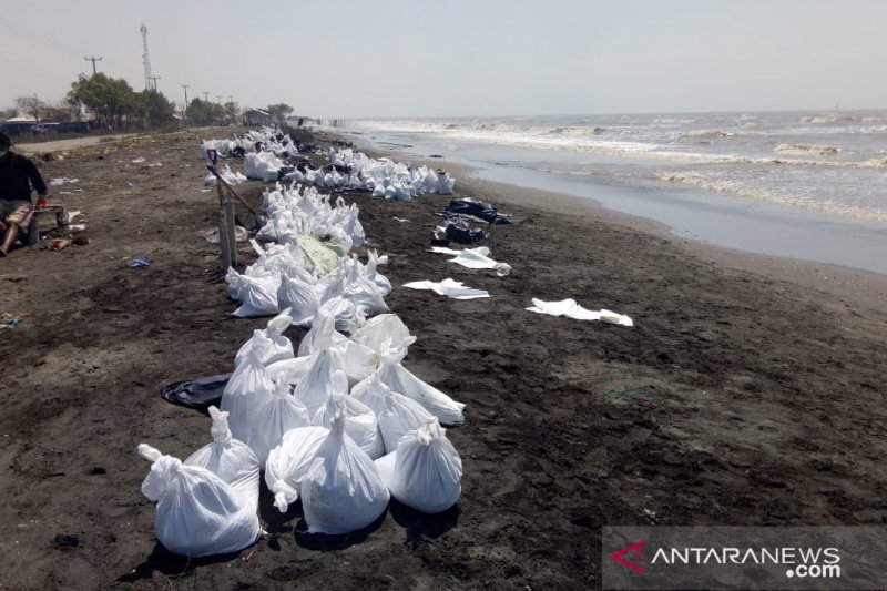 Ada Tumpukan Pasir Bercampur Minyak Mentah Di Pantai Sedari