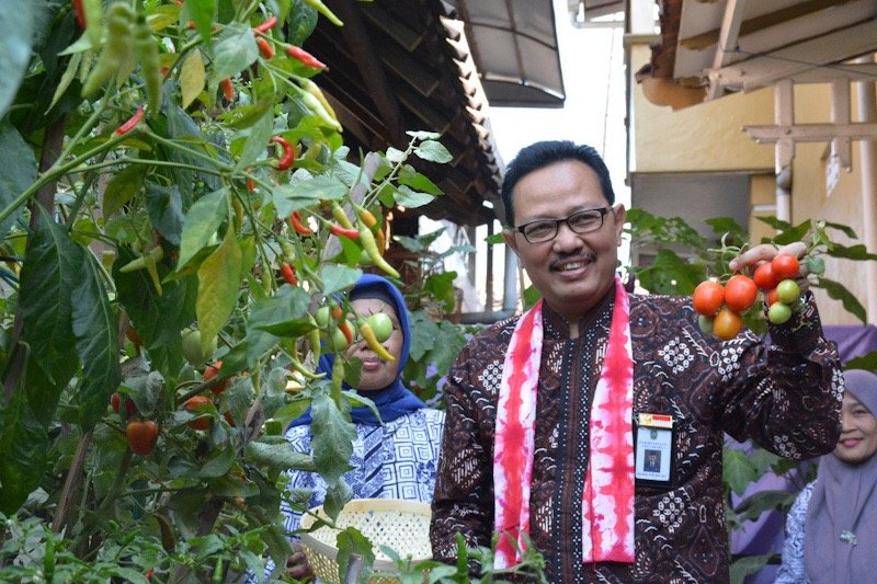 Yogyakarta mendorong kampung sayur ikut andil kendalikan inflasi