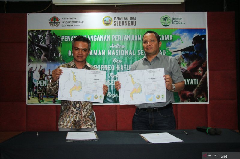 BNF-Taman Nasional Sebangau jalin kerja sama konservasi hayati
