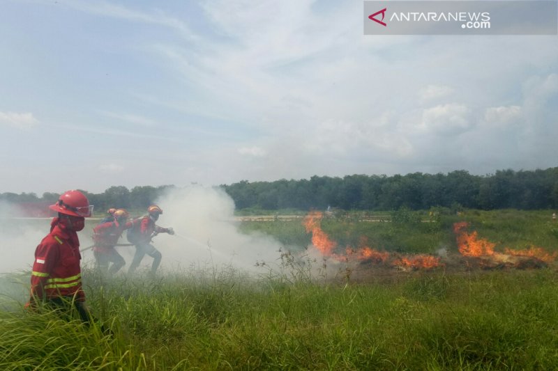 APP Sinar Mas siagakan 799 personel pemadam kebakaran di OKI