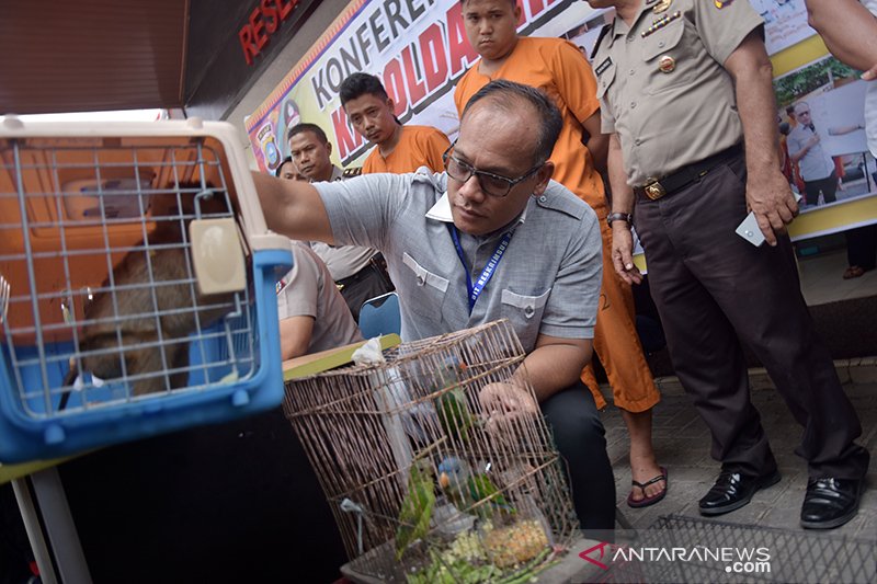 Bongkar Sindikat perdagangan Satwa Dilindungi, begini penampakannya 