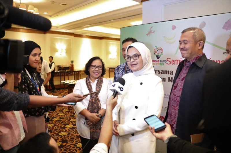 BPOM perkuat lembaga perangi penyakit akibat makanan