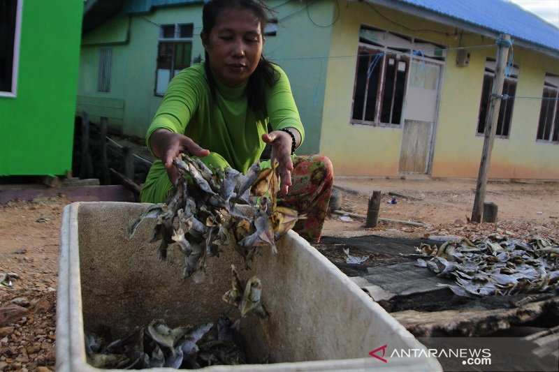 KEMARAU HARGA IKAN ASIN TURUN