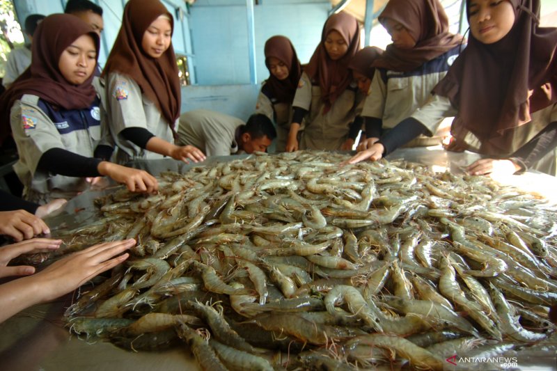 KKP ajak warga belajar usaha budi daya perikanan di SUPM