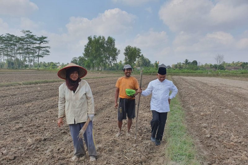 Bupati OKU Timur ajak masyarakat tanam palawija