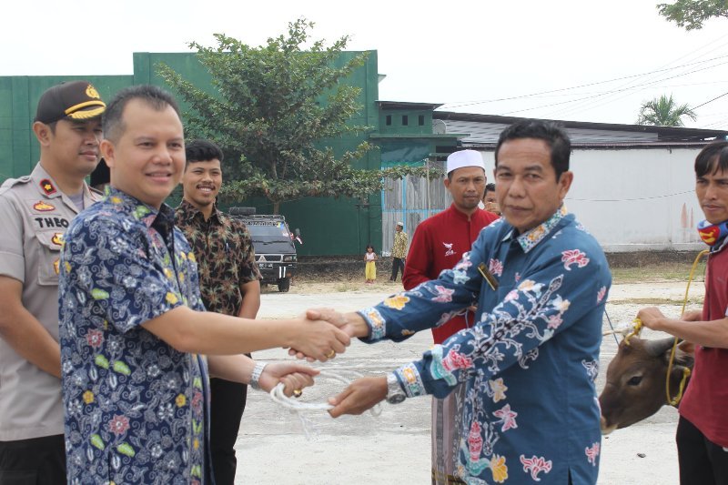 Pemkab Gunung Mas salurkan belasan hewan kurban
