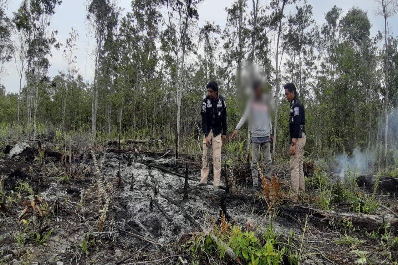 Polisi amankan seorang terduga pembakar lahan di Barsel