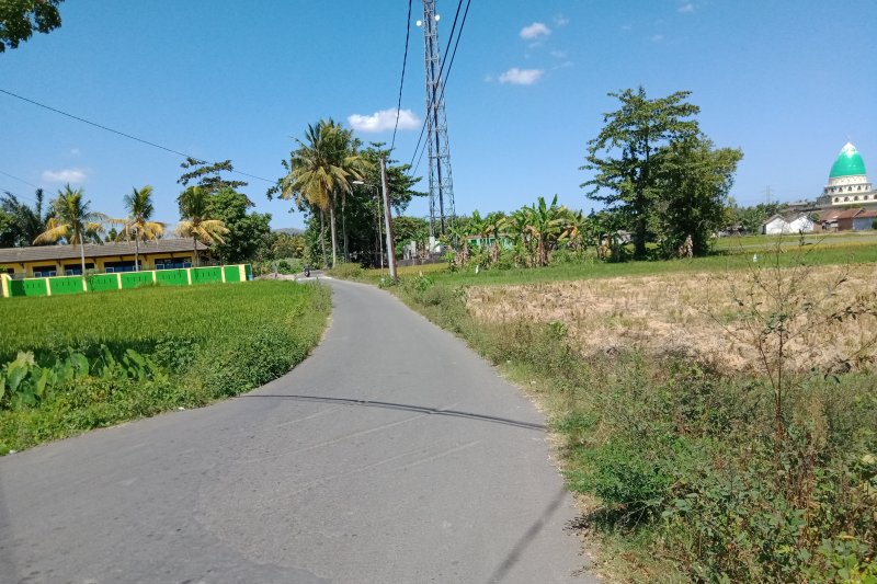 Pemerintah stop penyaluran DAK jalan usaha tani di Kota Mataram