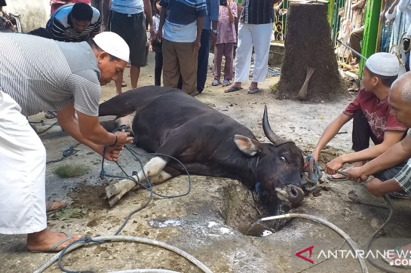 Jamaah diingatkan ikuti panutan nabi dalam berkurban