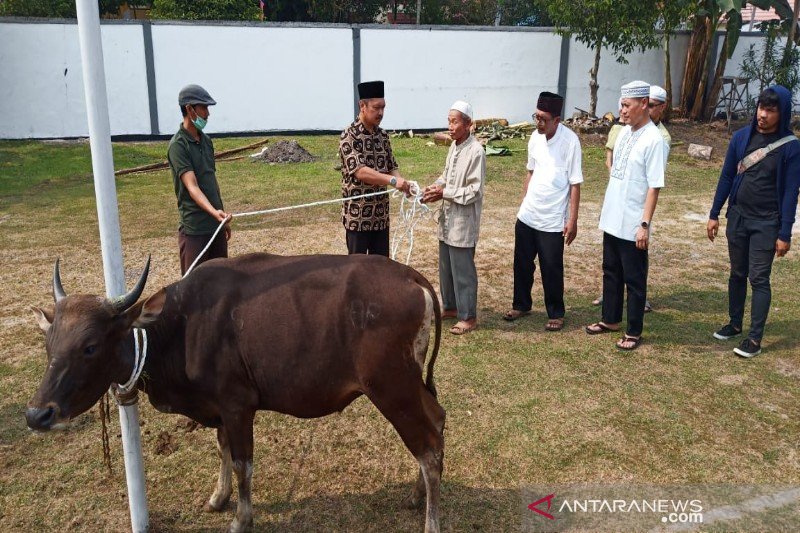 Sisihkan gaji, pegawai Dinsos Kalteng laksanakan ibadah kurban