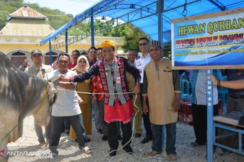 Pemprov Sulteng potong 185 hewan kurban