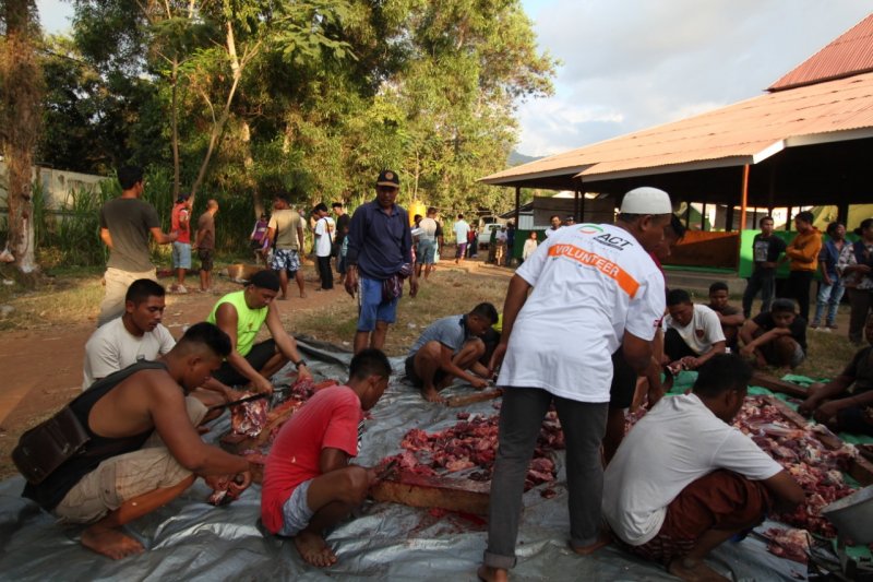 Global Qurban ACT sembelih 15 sapi untuk korban gempa Lombok