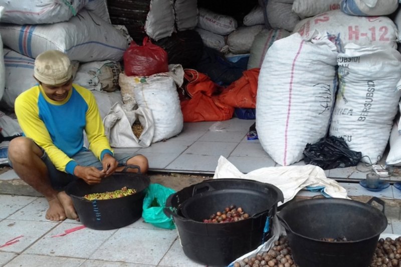 Harga bunga pala di Solok Rp150 perkilogram