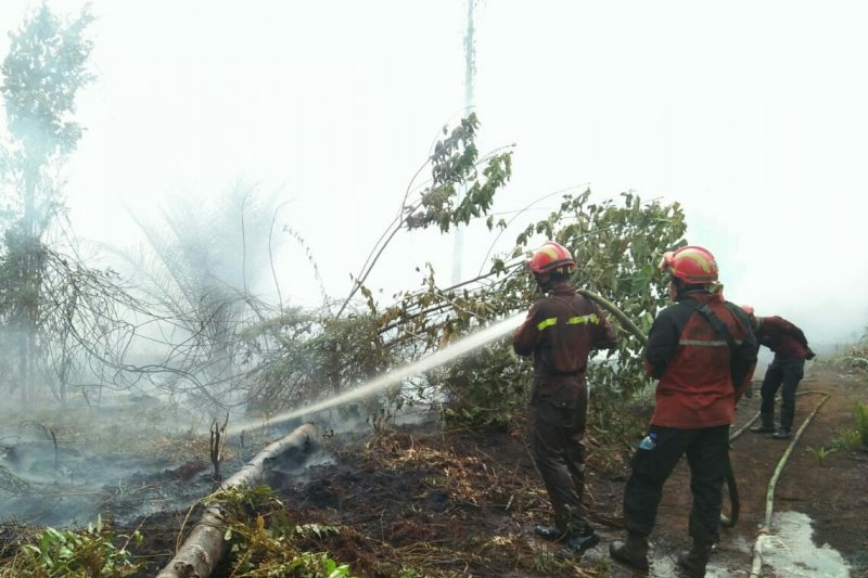 Polres Pelalawan hadiahkan Rp5 juta bagi penangkap pembakar lahan