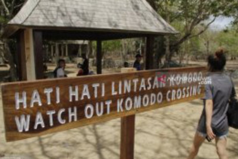 Media asing tak sarankan wisatawan ke Komodo, ASITA tak khawatir