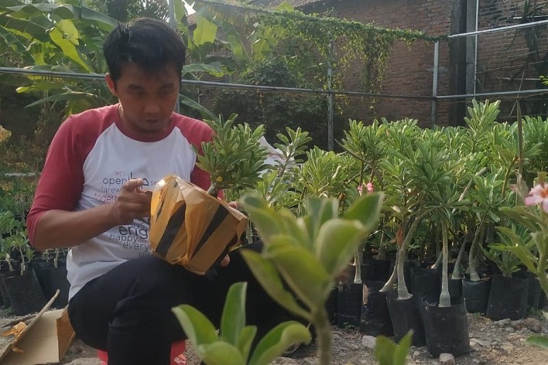 Puluhan mahasiswa UMK dibekali pelatihan jadi wirausaha
