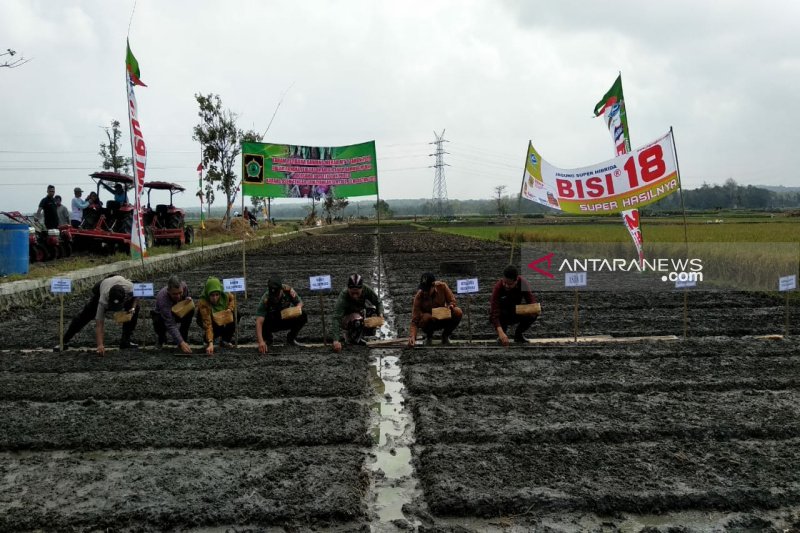 Produksi bawang merah Kulon Progo ditarget 6.135 ton