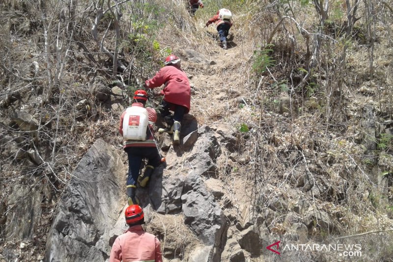 Damkar masih lakukan pemadaman api di Bukit Pandanan Lombok Utara