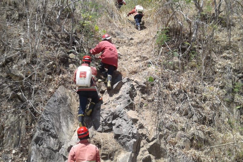 Kebakaran di Bukit Pandanan