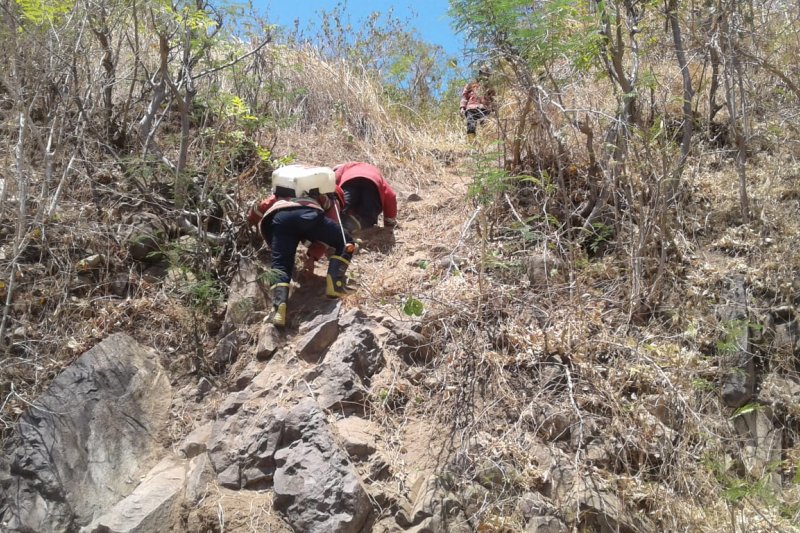 Kebakaran di Bukit Pandanan