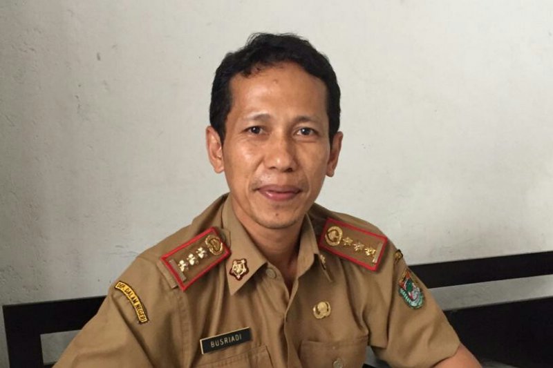 Produksi jagung di Mamuju turun akibat kemarau