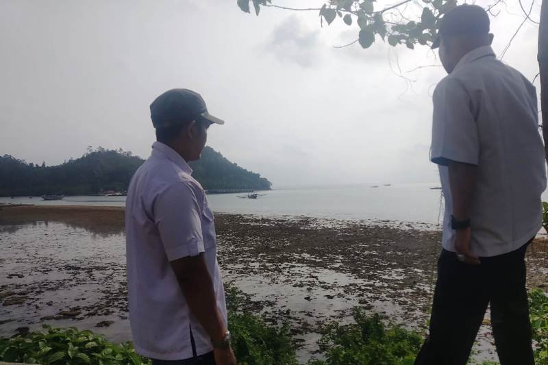 Buaya di Carocok Painan, RKSDA kerahkan enam petugas untuk observasi
