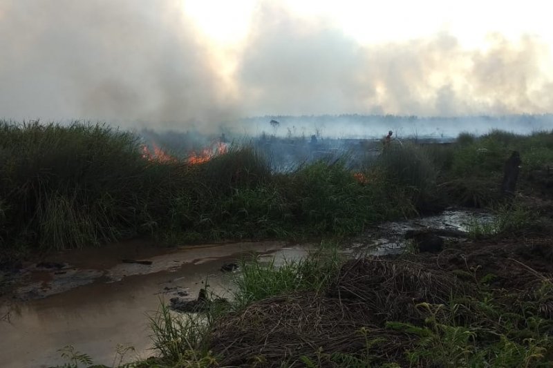 Satgas Kebakaran Hutan dan Lahan Musi Rawas tangkap pembakar lahan