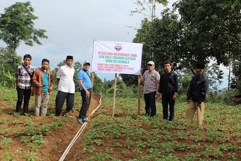 Pakar : Perhatikan bibit dan lingkungan untuk tingkatkan produksi sawit