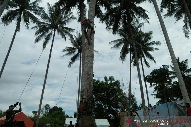 Tempat Wisata Di Kabupaten Parigi Moutong