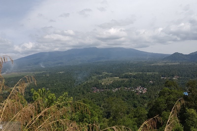 Sumsel jadi percontohan restorasi bentang alam di Indonesia