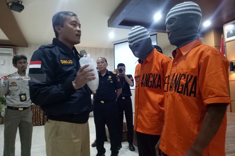Penyelundupan 65.000 benih lobster digagalkan Bea Cukai Palembang