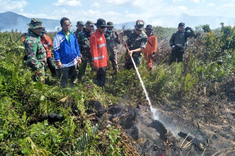 BNPB: 150 hektare lahan di Kolaka Timur terbakar