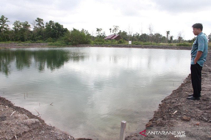 Produksi ikan patin di OKU Timur capai 96 ribu ton/tahun