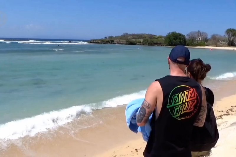 Hiu Karang dekati Pantai Nusa Dua
