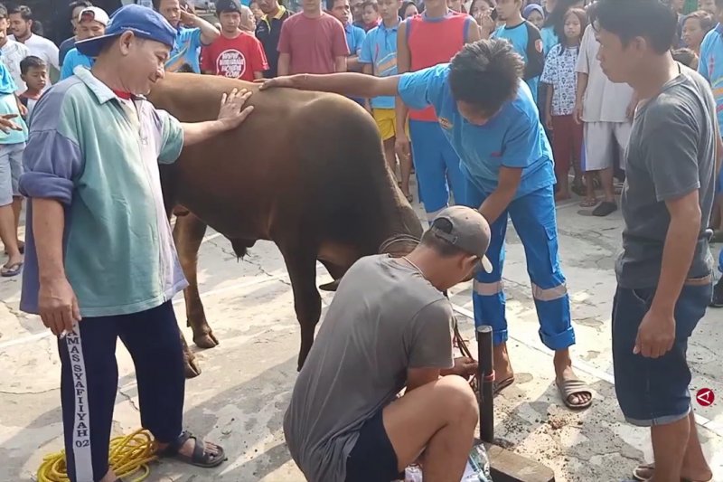 Korban kebakaran Manggarai antusias rayakan Idul Adha