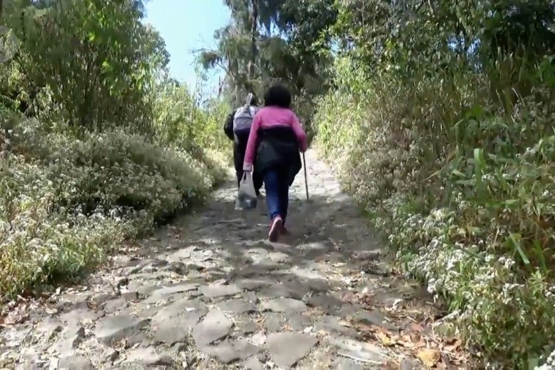 Ribuan pendaki jalani ritual di Gunung Lawu