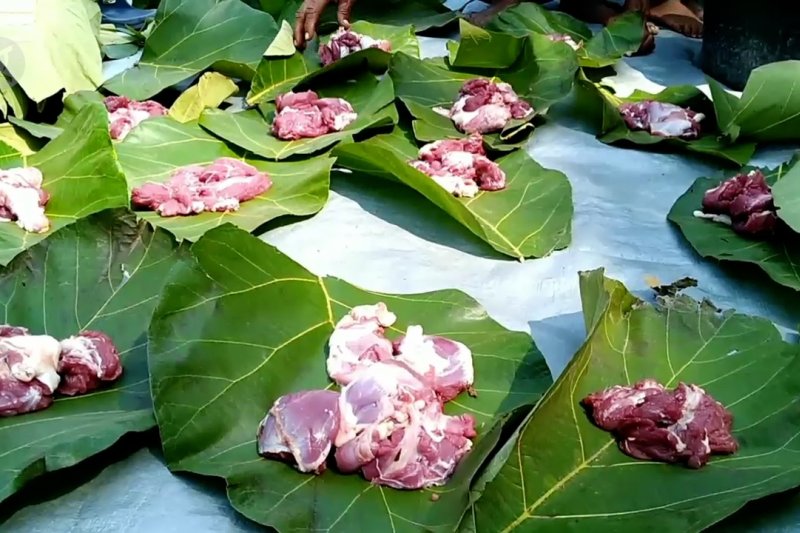 Membungkus daging kurban dengan daun jati