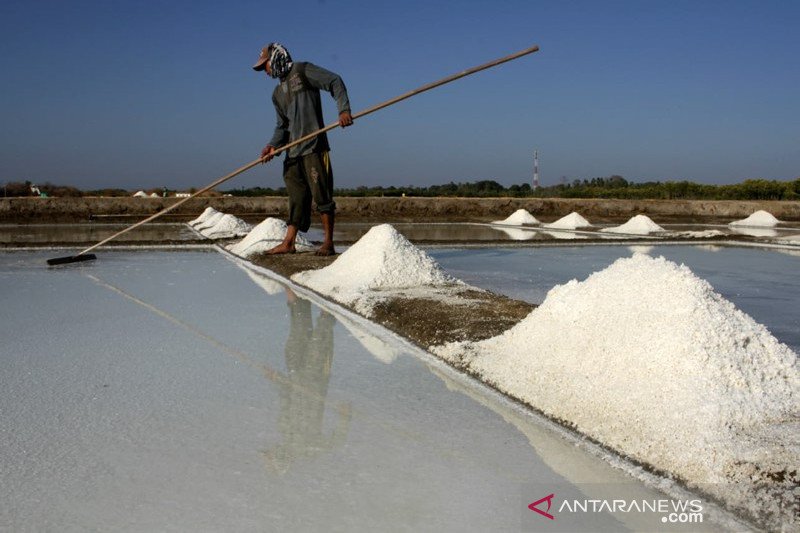 Harga garam turun