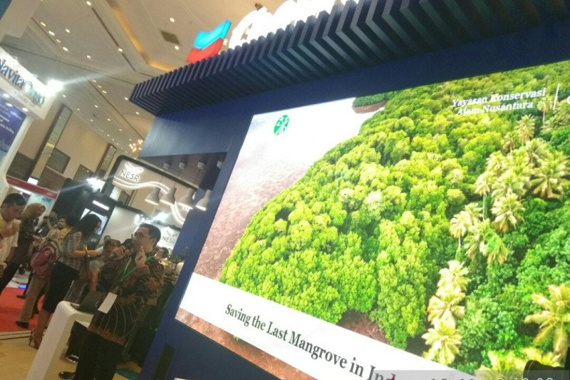 IPA Convex 2019, Chevron paparkan program penyelamatan mangrove