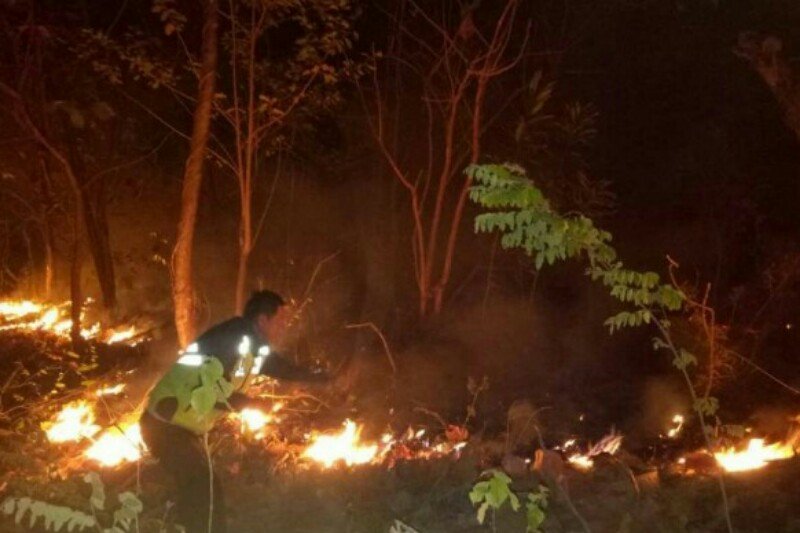 Kebakaran lahan di Kabupaten Majene berhasil dipadamkan