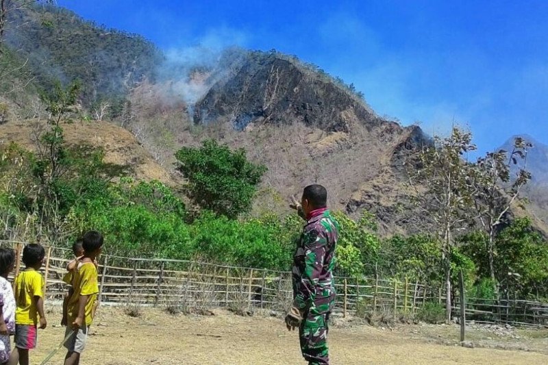Bupati TTS: Jauhkan api dari hutan