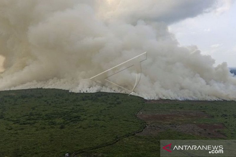 Lahan terbakar di Sumsel capai 2.000 hektare