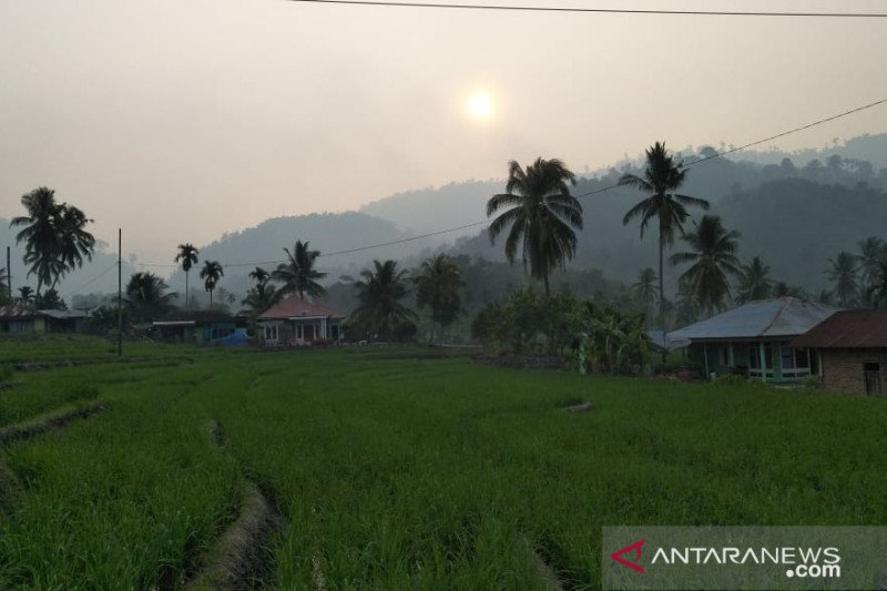Kadis LHPRKP sebut asap di Pasaman masih di bawah ambang batas, meski kian pekat