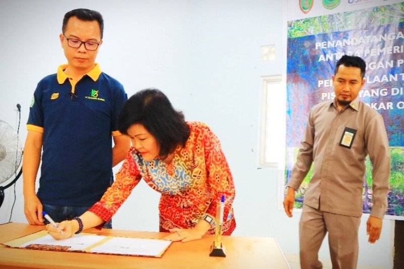 Pemkab Pulang Pisau gandeng swasta perbaiki tata niaga karet