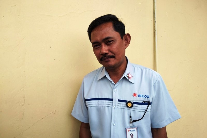 Stok beras Bulog Mamuju terdampak kekeringan