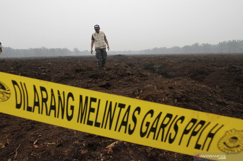 KLHK sebut telah menyegel 52 lokasi perusahaan penyebab karhutla