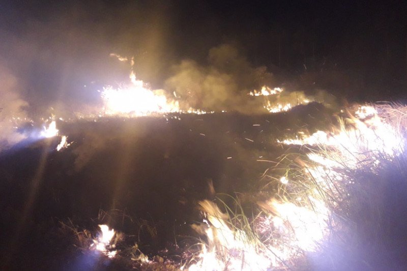 Warga bakar sampah akibatkan lahan dekat perumahan terbakar