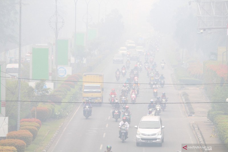 KLHK: Kebakaran Australia kemungkinan memicu kebakaran Kalimantan