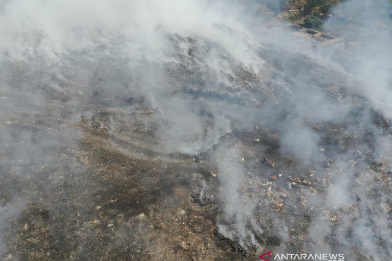 Walhi : Kebakaran TPA Tamangapa Antang tidak boleh disepelekan